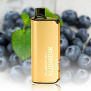 Home ALIBARBAR 9000 Blueberry Mint