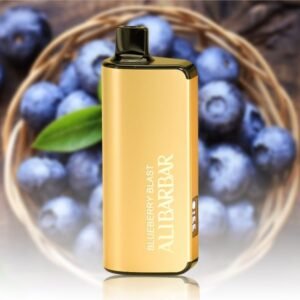 Home ALIBARBAR 9000 Blueberry Blast